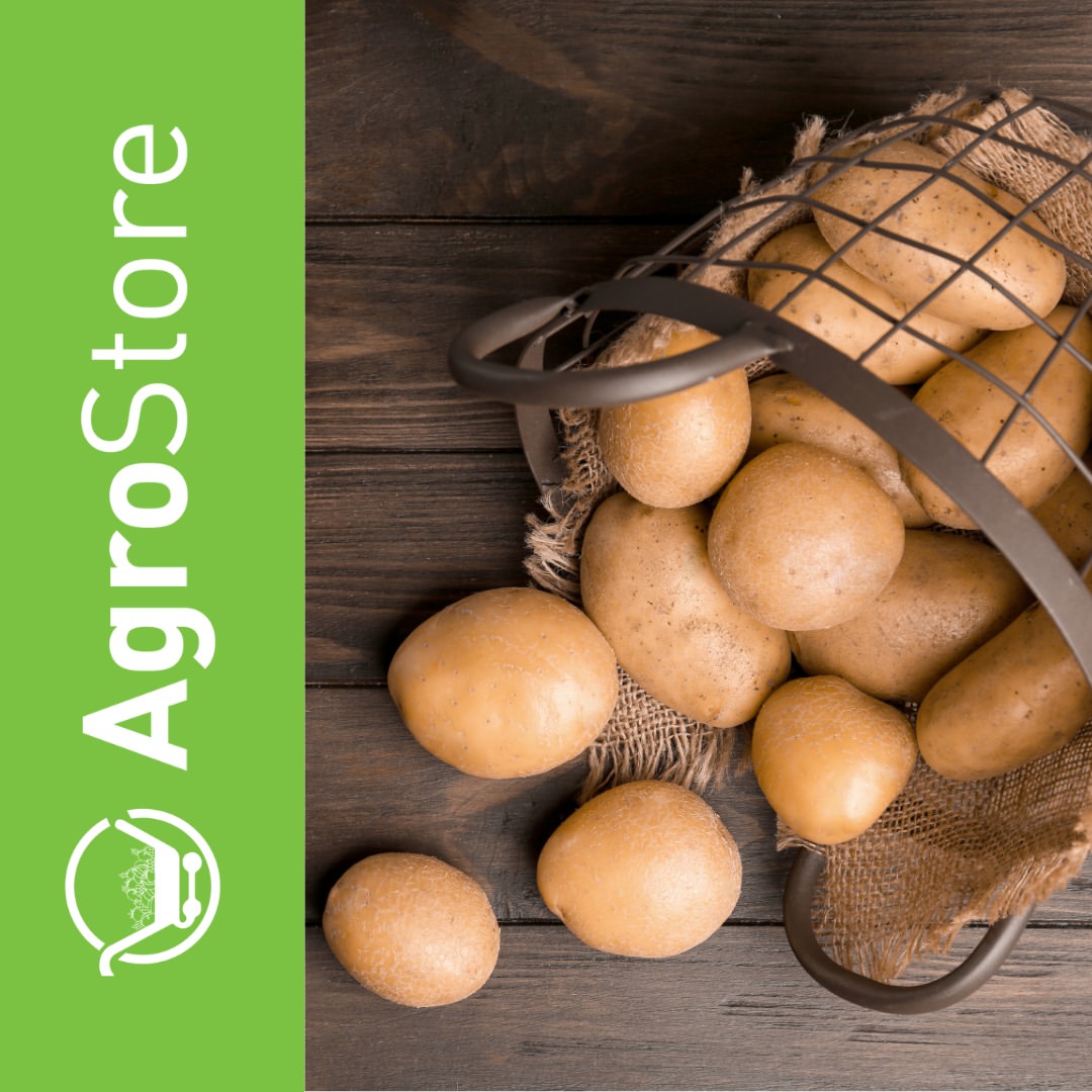 AgroStore