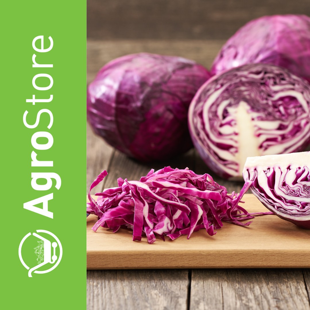 AgroStore