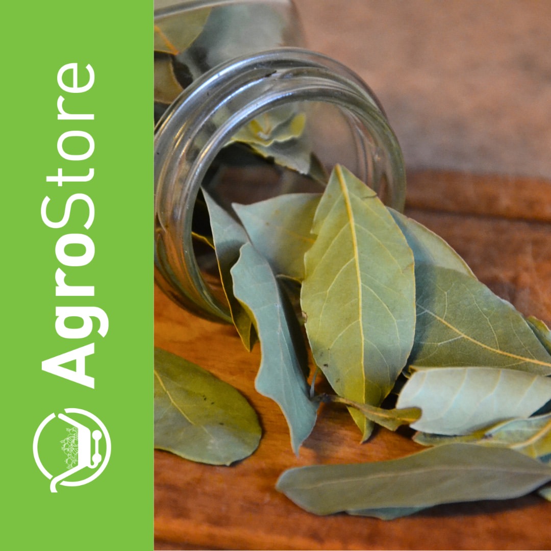 AgroStore