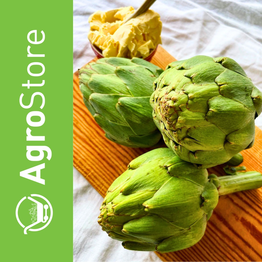 AgroStore