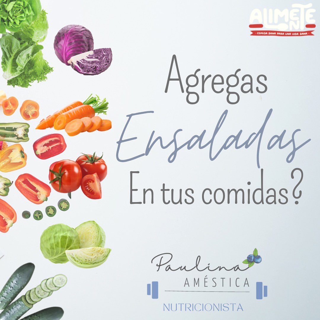 Alimente Chillán