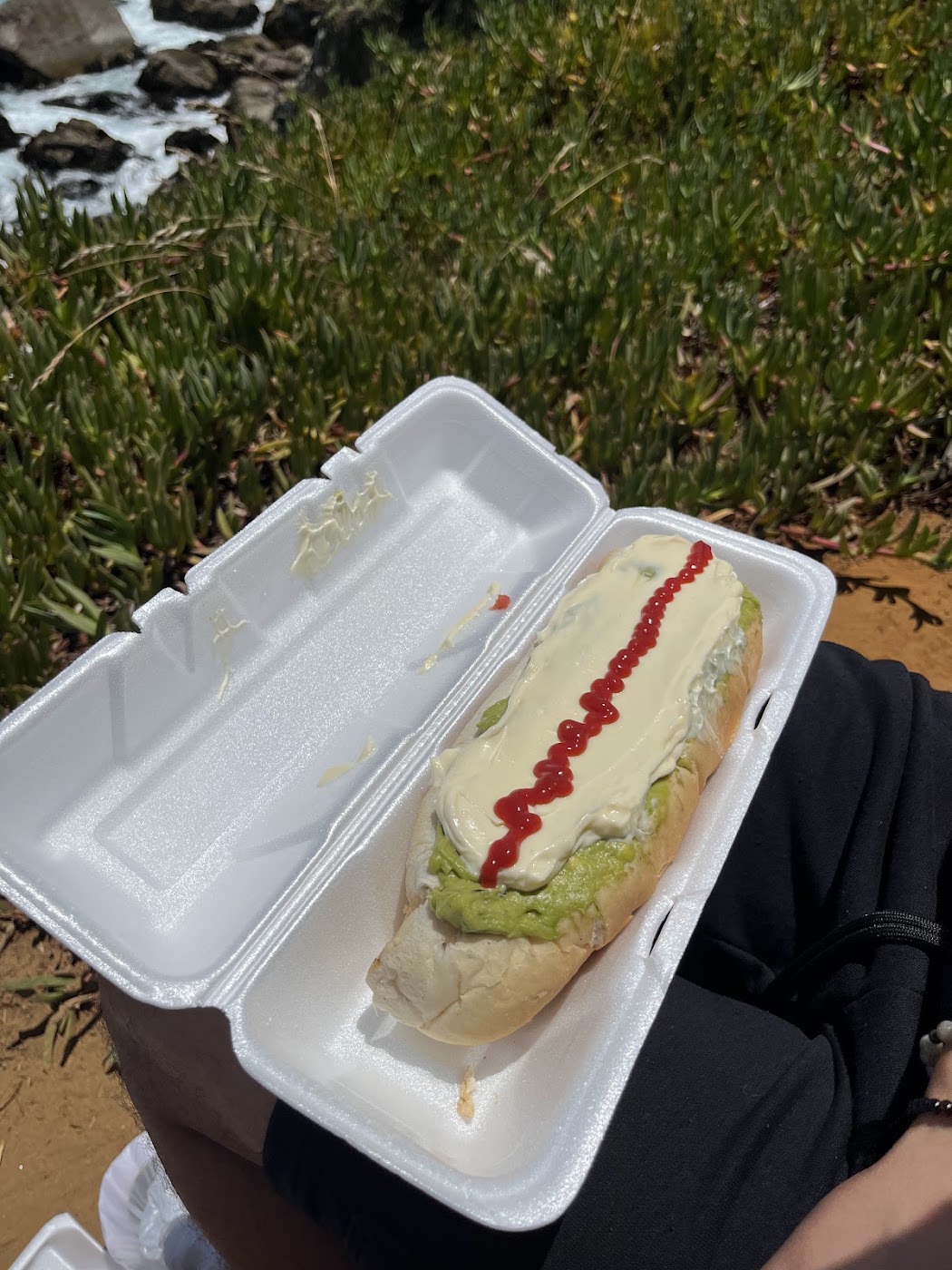 El Antojo