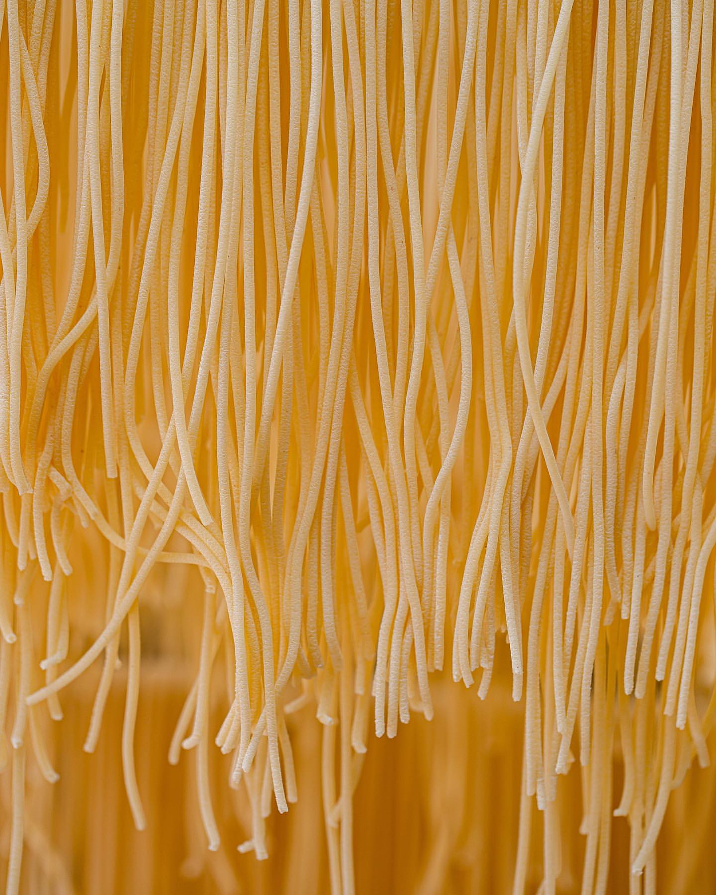 Entre Pastas